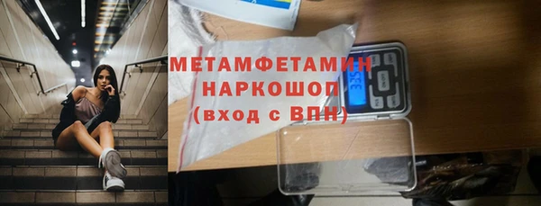 сатива Осинники