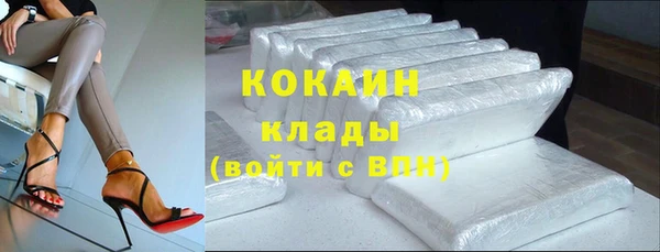 сатива Осинники