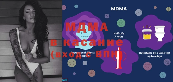 шишки Осташков