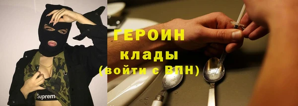 шишки Осташков