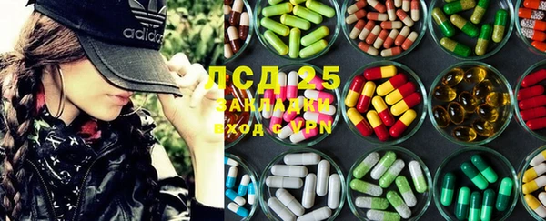 шишки Осташков