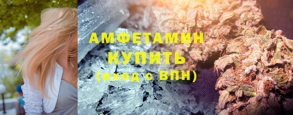 шишки Осташков