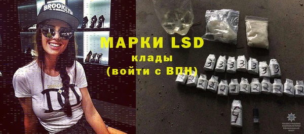 шишки Осташков
