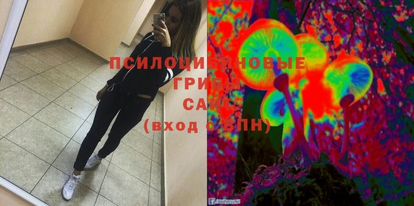 сатива Осинники