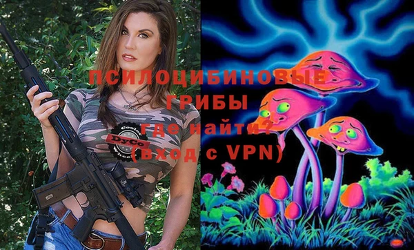 сатива Осинники