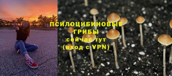 шишки Осташков