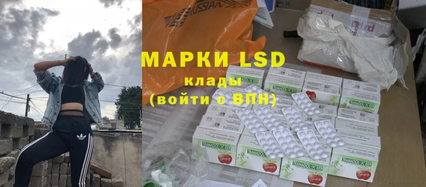 сатива Осинники