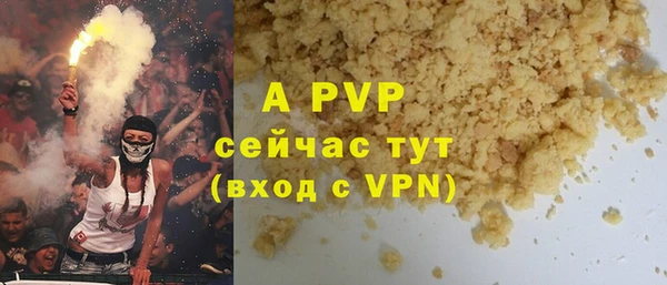 шишки Осташков
