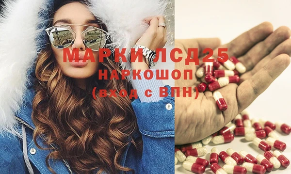 шишки Осташков
